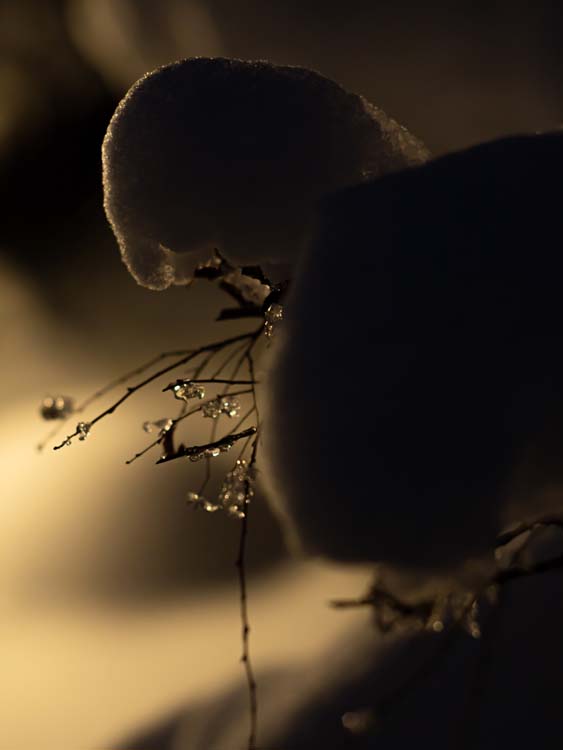Feels like Winter